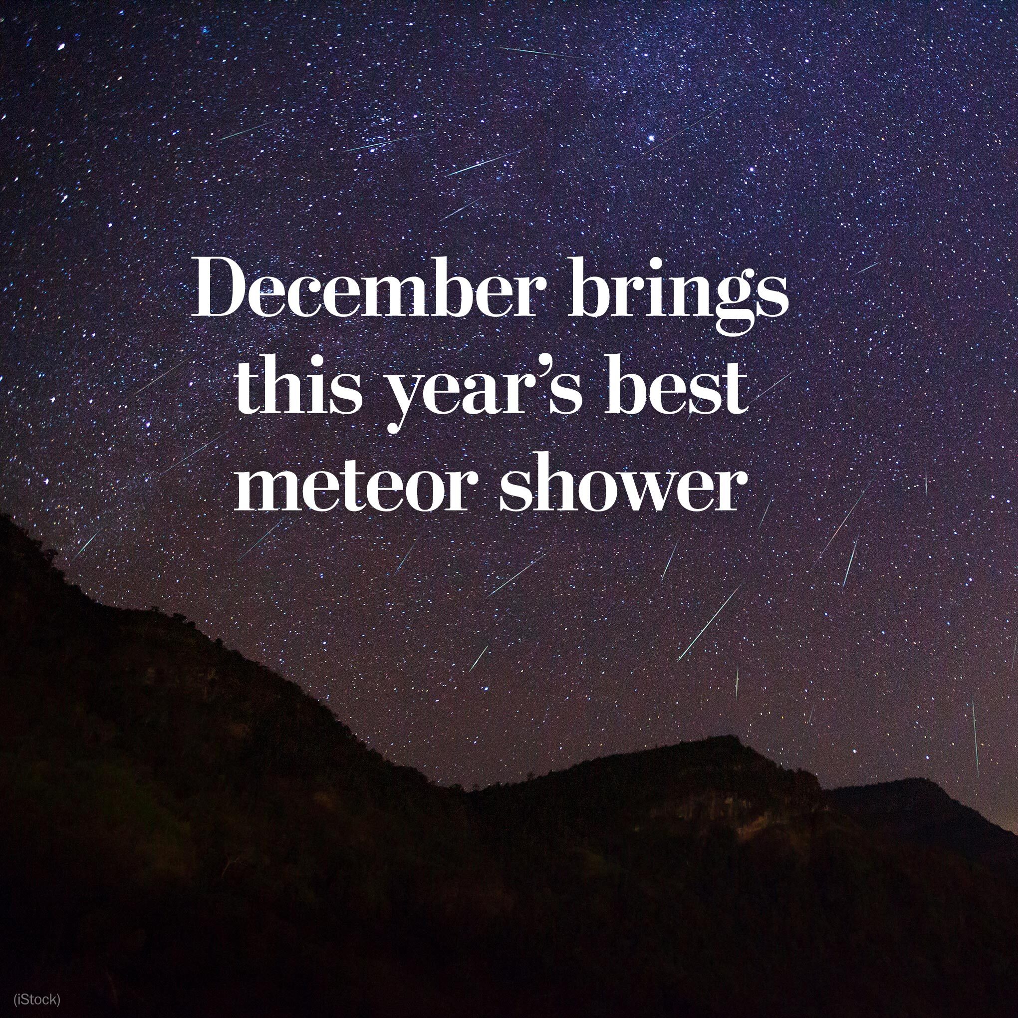 If Calvin \u0026 Hobbes lived here : r/Seattle, image size:2040x2040