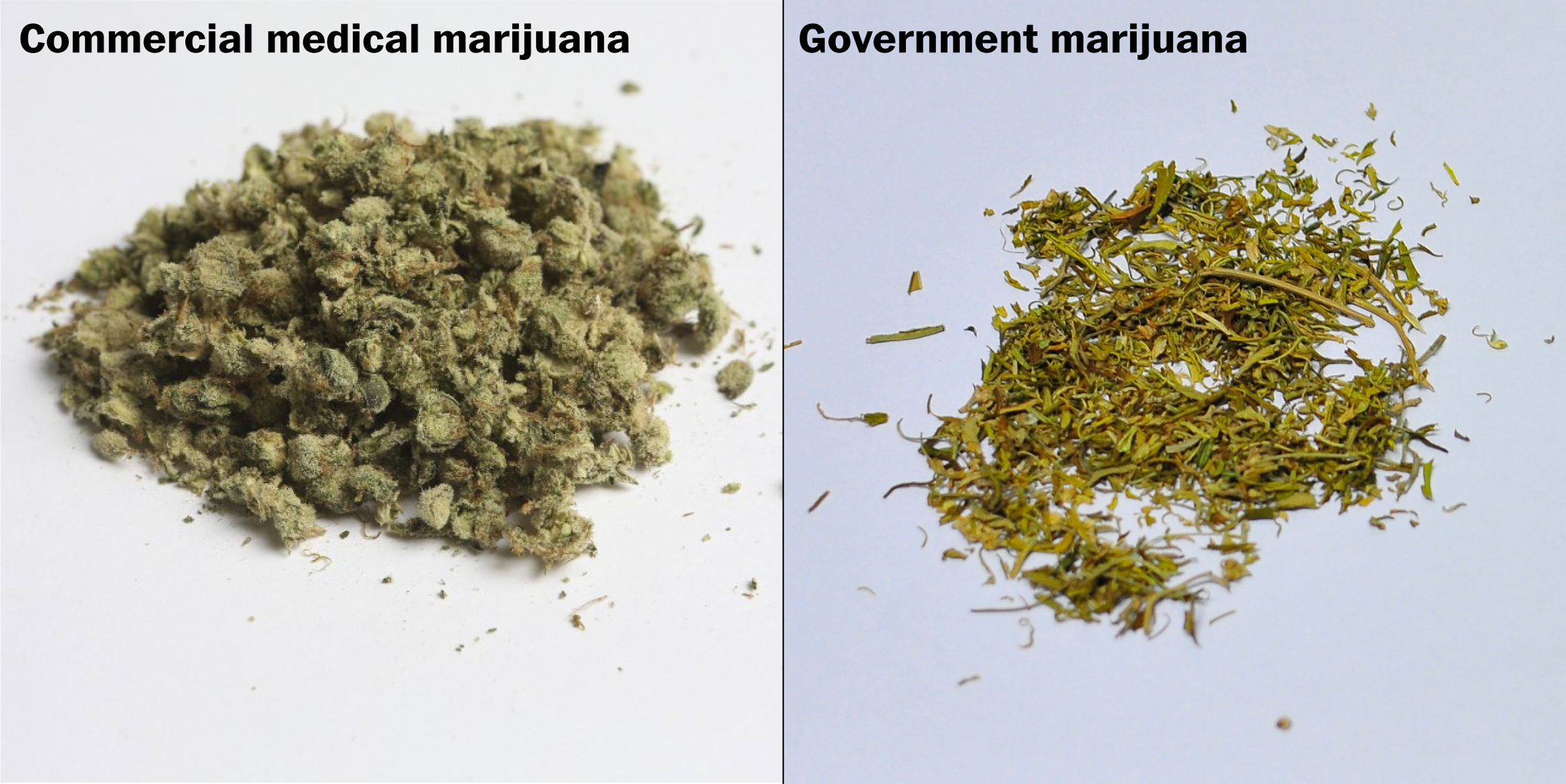 Government Marijuana Looks Nothing Like The Real Stuff See For Yourself The Washington Post Government Marijuana Looks Nothing Like The Real Stuff See For Yourself The Washington Post