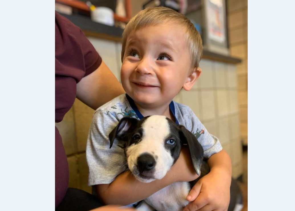 A Puppy With A Cleft Lip Is Adopted By A Boy With A Cleft Lip They Instantly Loved Each Other The Washington Post