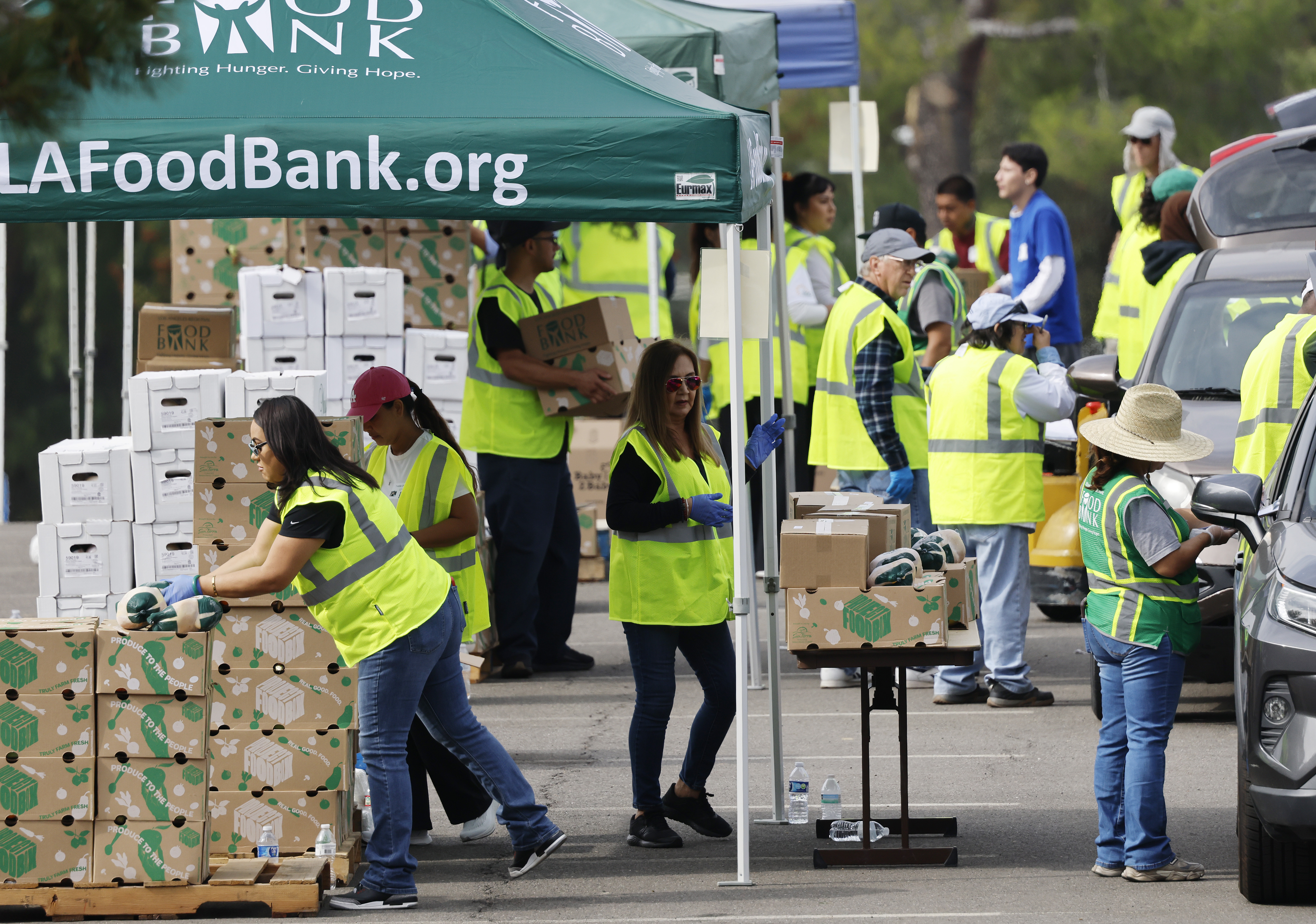 (Mario Tama/Getty Images)