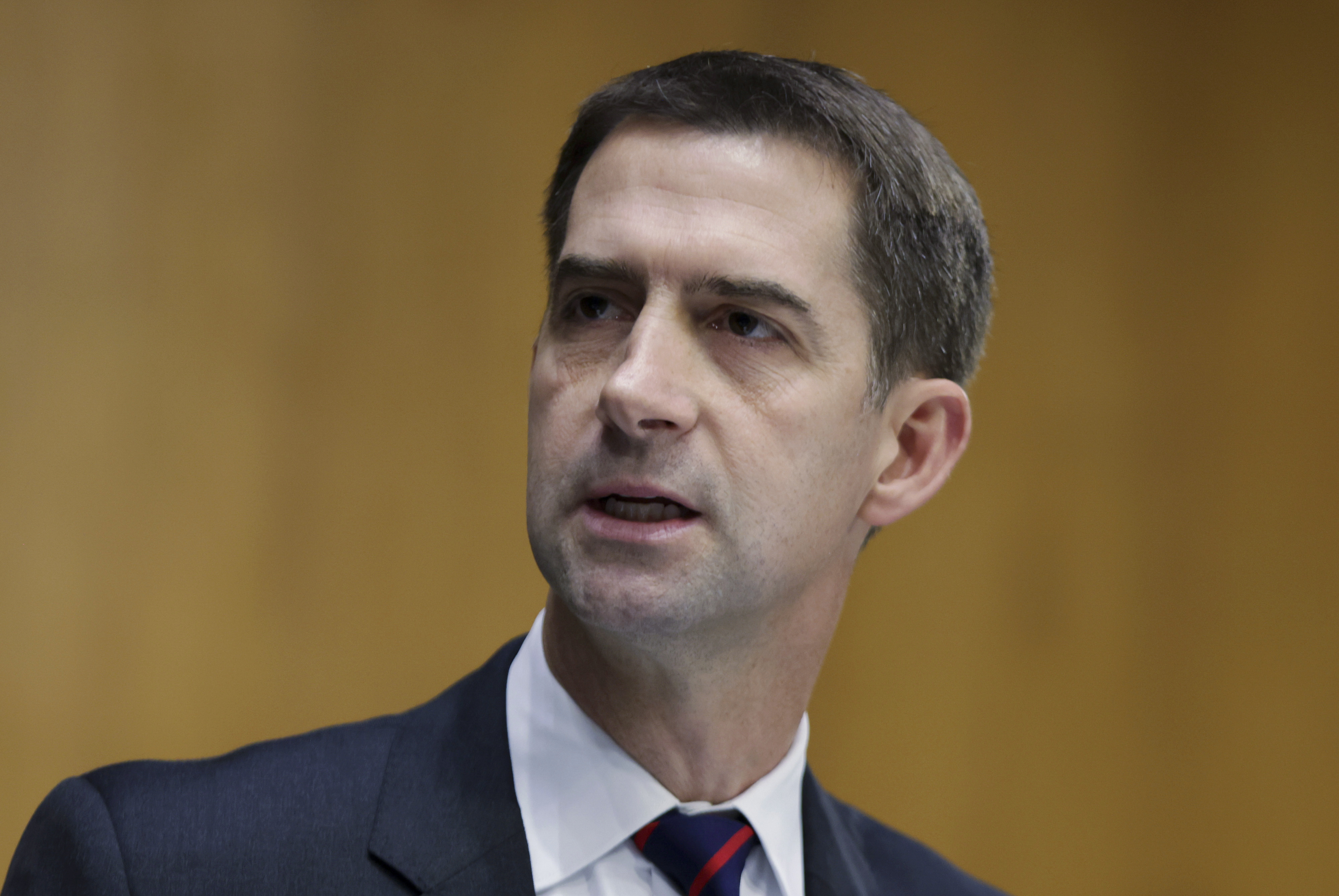 Opinion Tom Cotton Should Put Some Legislation Where His Mouth Is The Washington Post
