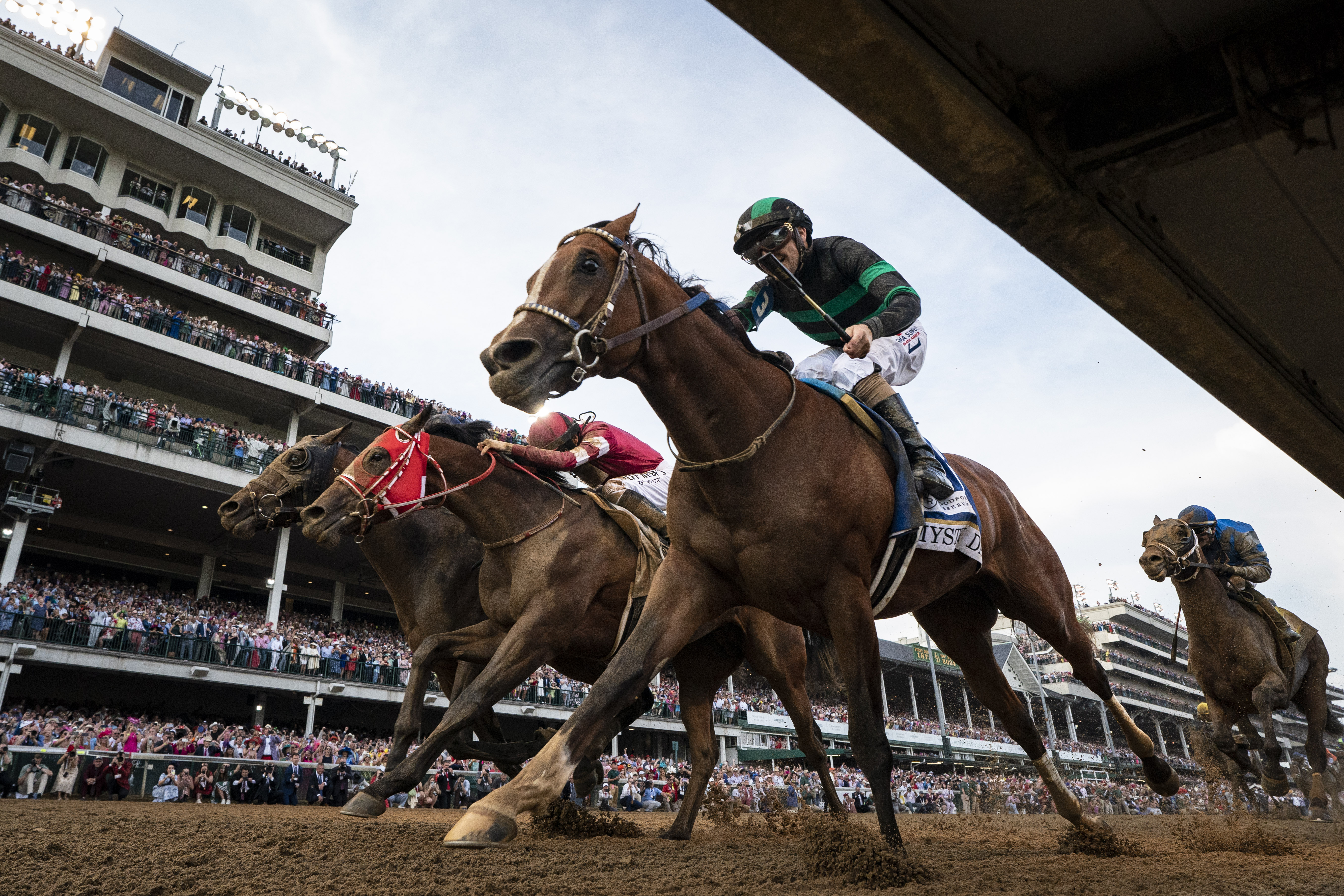 Jayson Werth Horse Win