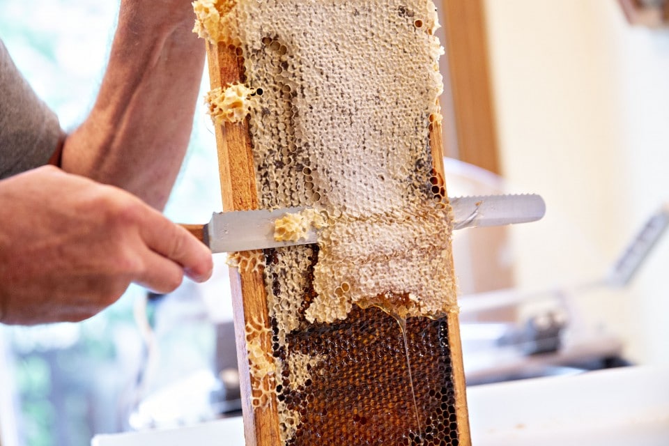 Are Avocados Vegan That May Now Be Up For Debate The Washington Post